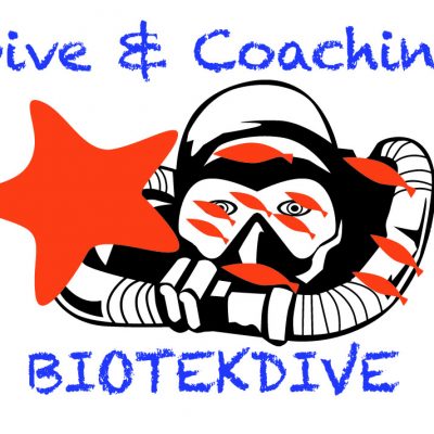 Dive &amp; coaching diving
