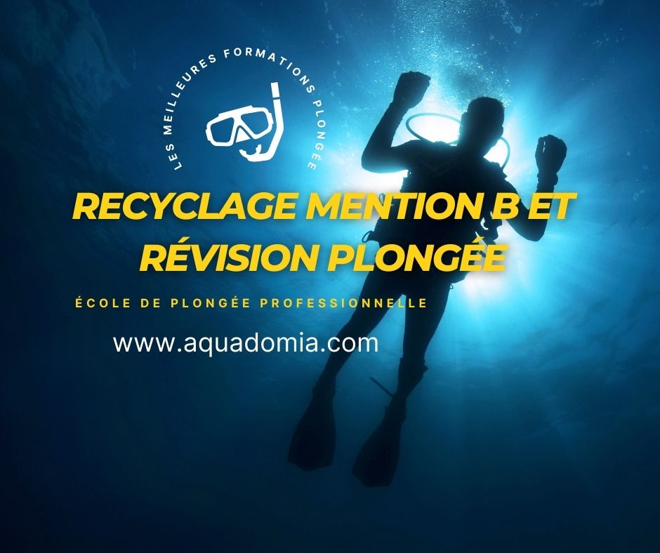 Révision plongée et recyclage mention B – Formation Marseille