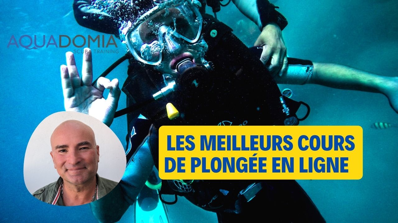 Cours de plongée en ligne les plus complets avant de suivre sa formation à Marseille