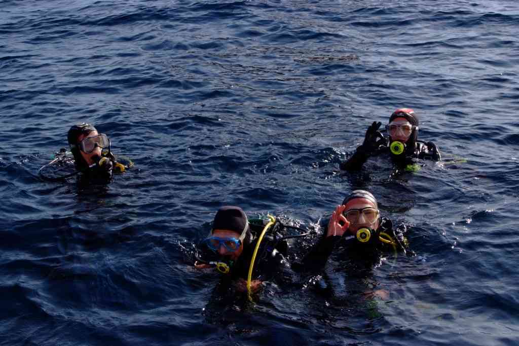 Date of Diving Internship Level 4 Marseille