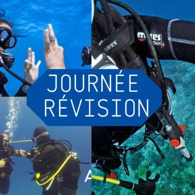 diving review day marseille