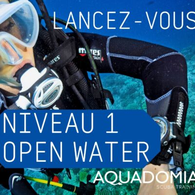 Formation Niveau 1 Open Water Ssi 3 jours cours privé, avec utilisation ordi & parachute !