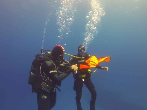 deep dive training