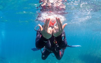 Diving training promotion in Marseille: for the summer and the new school year!