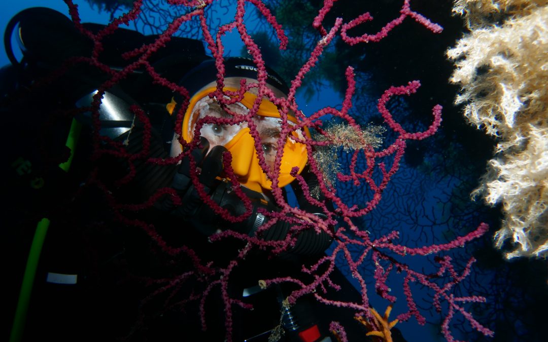 formation biologie sous-marine