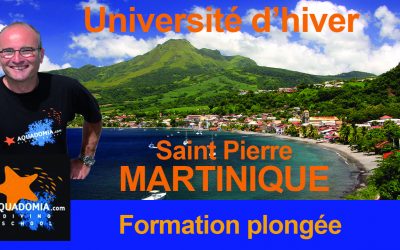 Formation Martinique plongeur niveau 1 2 3 4 initiateur Divemaster Épave Tortue TEK Février/Mars