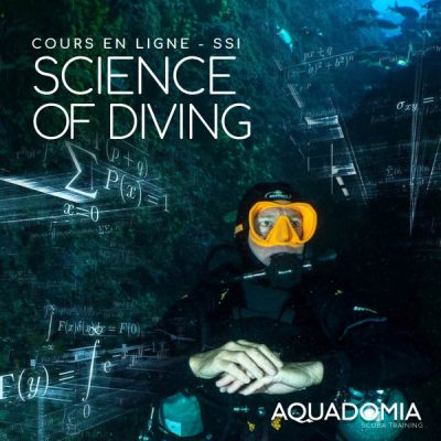 formation SSI, cours en ligne, la science de la plongée