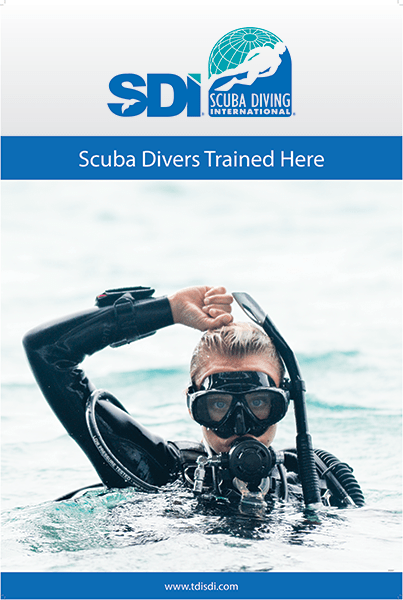 Training Instructor Diving OWI SDI